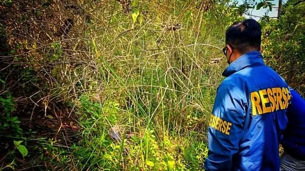 Misteri Kerangka Wanita di Hutan Jati Sukabumi Terpecahkan, Polisi Tangkap Terduga Pembunuh