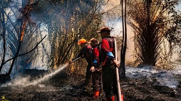 Karhutla Kotim Kian Mengganas, BPBD Desak Tambahan Helikopter Water Bombing