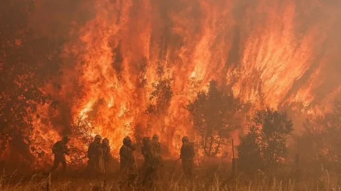 Kebakaran Hutan Besar Landa Spanyol, 12.000 Hektare Lahan Hangus dan Ribuan Warga Dievakuasi