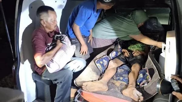 Pekerja Diterkam Harimau Saat Buang Air di Siak, Nyawa Selamat Berkat Sorotan Lampu Alat Berat