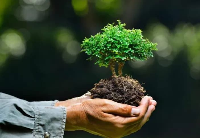 Dana Lingkungan Rp22 Triliun Tak Bisa Dipakai