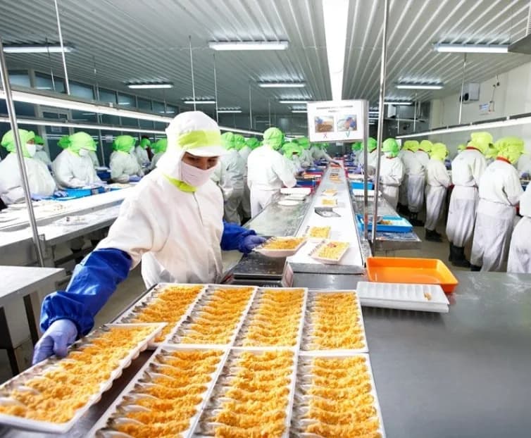 Krisis PMMP: Utang Rp 2,8 T, Peran Kaesang dan Kelalaian LPEI yang Berbahaya