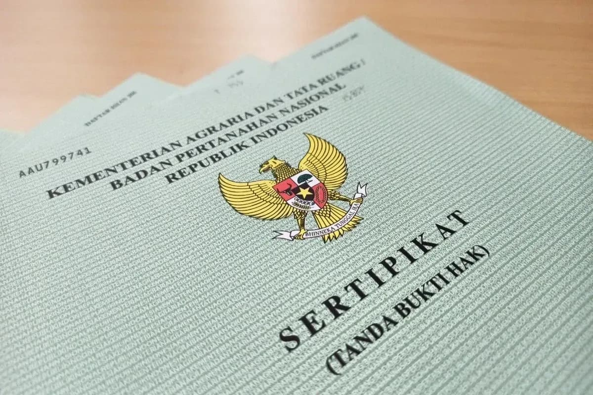 Wakil Ketua DPRD Belu Diduga Serobot Tanah Janda, Sengketa Lahan Warisan Kembali Memanas