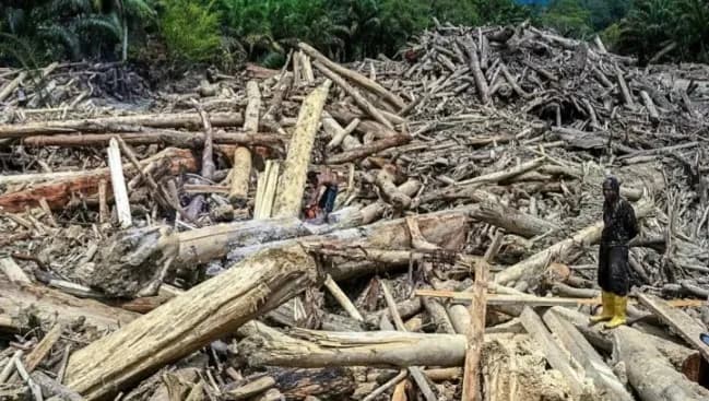Banjir Maut Sumut dan Tersangka yang Tak Ditahan: Sutrisno Pangaribuan Sorot Dugaan Konflik Kepentingan