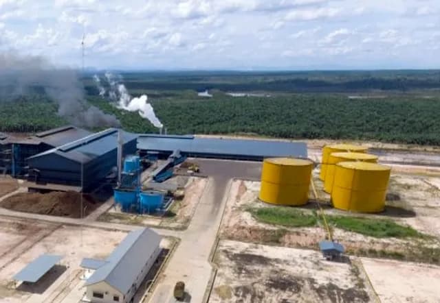 Laba Emiten Sawit Haji Isam PGUN Susut 46% Jadi Rp44,5 Miliar