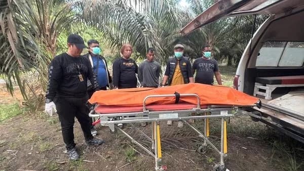 Sakit Hati Diputus, Pria di Ketapang Habisi Nyawa Mantan Kekasih lalu Kubur Jasad di Kebun Sawit