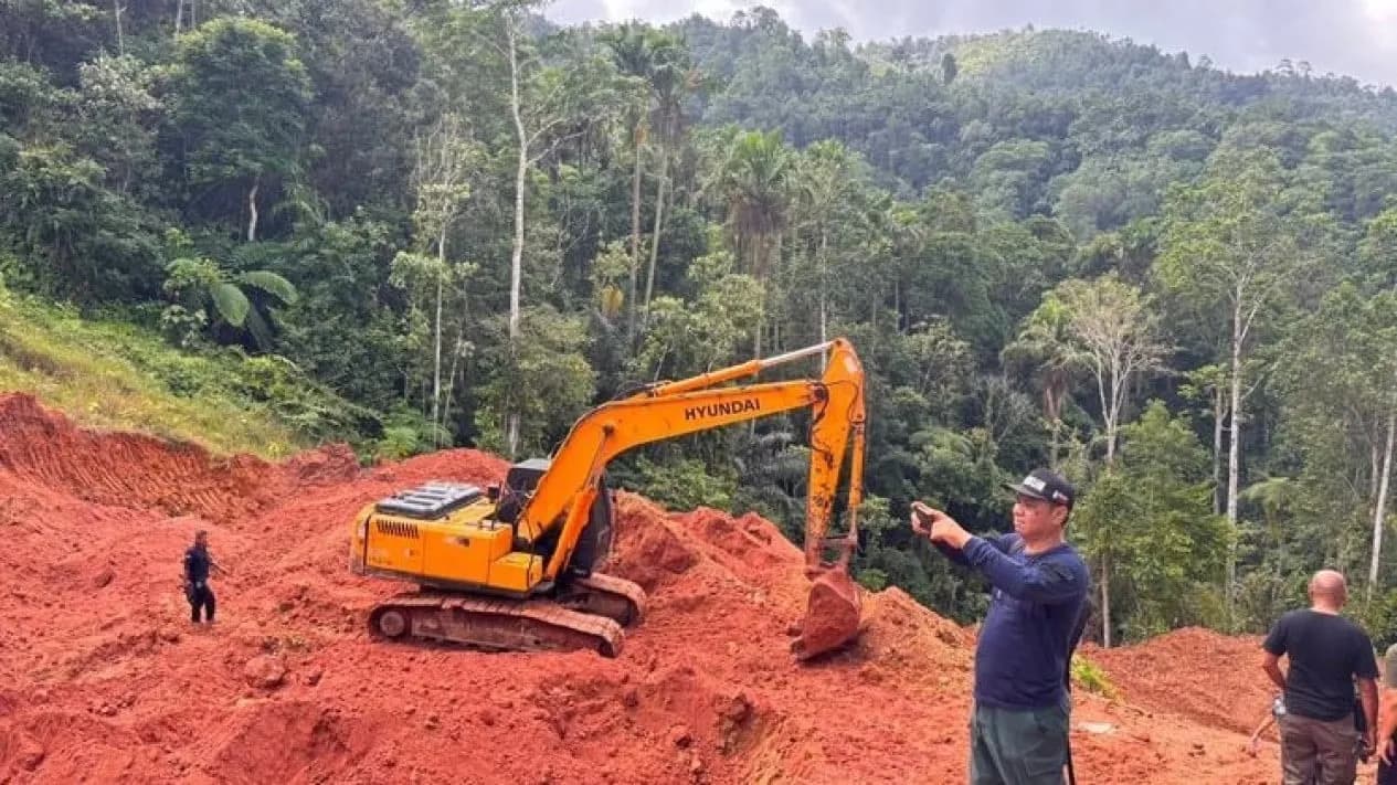 Kemenhut Bongkar Tambang Emas Ilegal di Hutan Sulawesi Utara, Dua Tersangka Dijerat