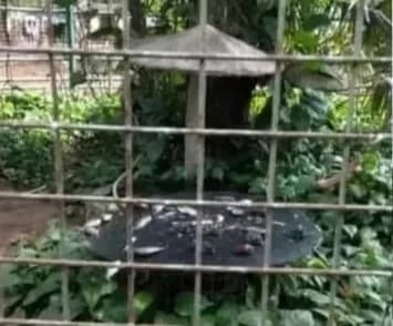Dugaan Permainan Anggaran Pakan Ragunan Disorot, Pengamat: Jangan Bersembunyi di Balik Belum Ada LHP BPK!