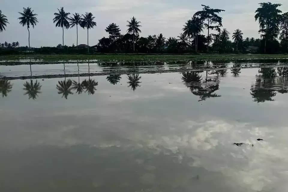 Banjir Terjang Parigi Moutong, Drainase Buruk dan Sungai Dangkal Jadi Pemicu