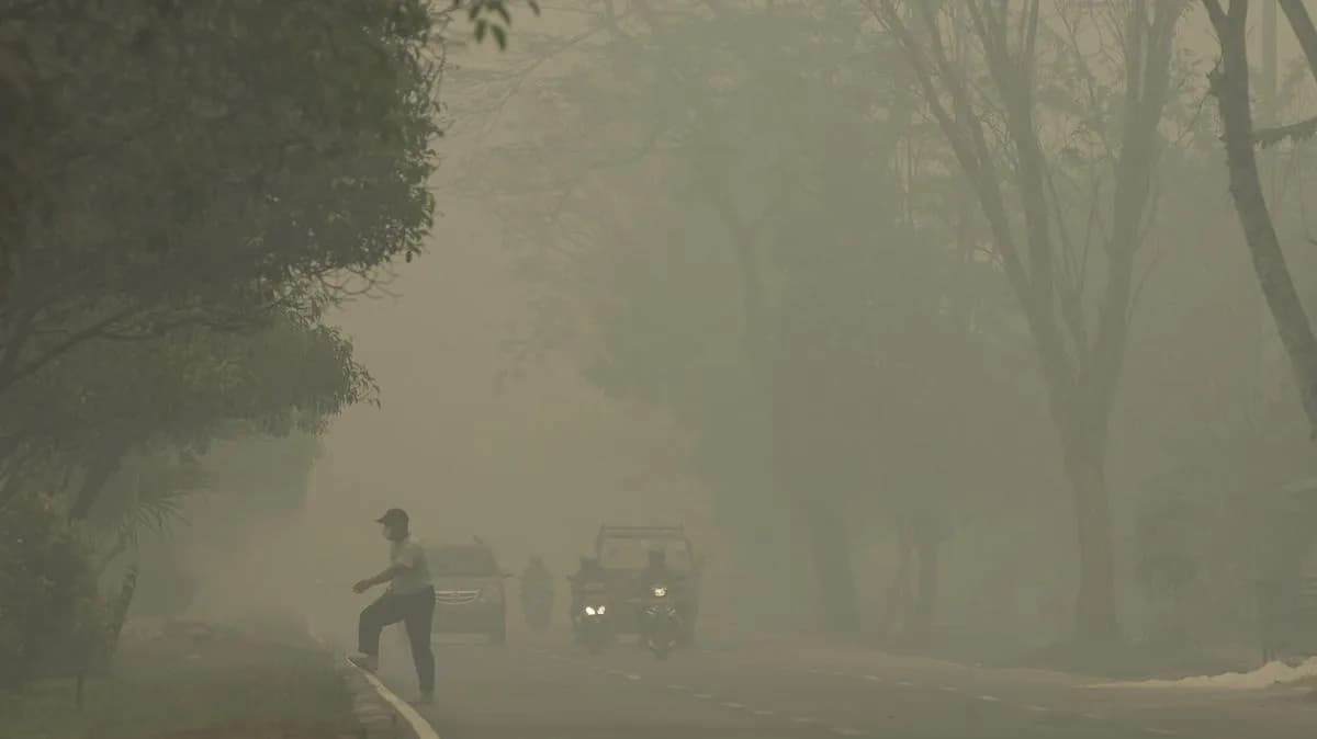 Kabut Asap Karhutla Mengancam, Pemkab Kotim Siapkan Opsi Tunda Jam Masuk Sekolah