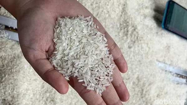 Bulog Tegaskan Beras MBG Bukan Subsidi, Seluruh Pasokan Gunakan Produk Premium