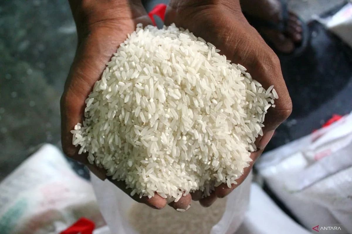 Harga Beras di Alor Tembus Rp30 Ribu, Amran Geram dan Perintahkan Bulog Bergerak Hari Ini