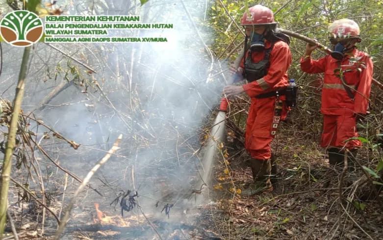 Karhutla Meluas di Musi Banyuasin, 8 Hektare Lahan Dilalap Api