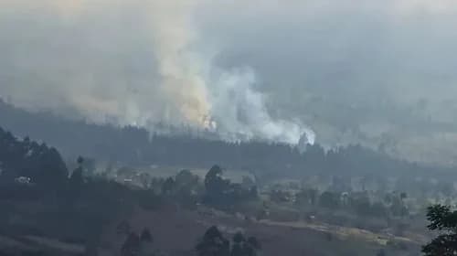 Karhutla Mengganas di Gunung Rinjani, Api Meluas hingga 30 Hektare