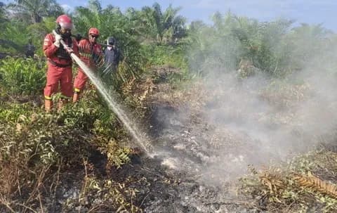 Karhutla Mengganas di Bengkalis, 10 Hektare Gambut Terbakar, Petugas Berjibaku dari Jalur Sungai