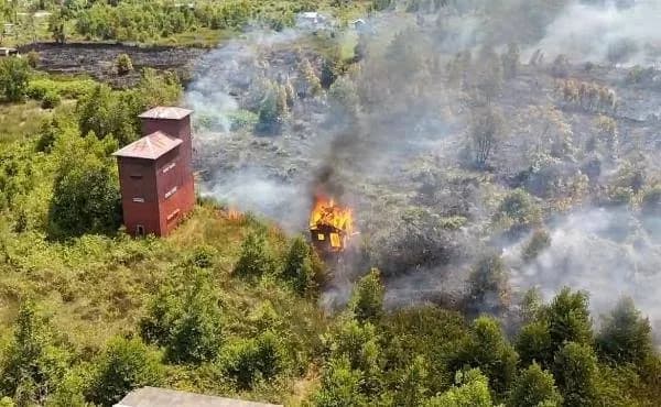 Karhutla Mengganas di Palangka Raya, Rumah Warga Ludes, Pembakar Diduga Kabur Naik Motor