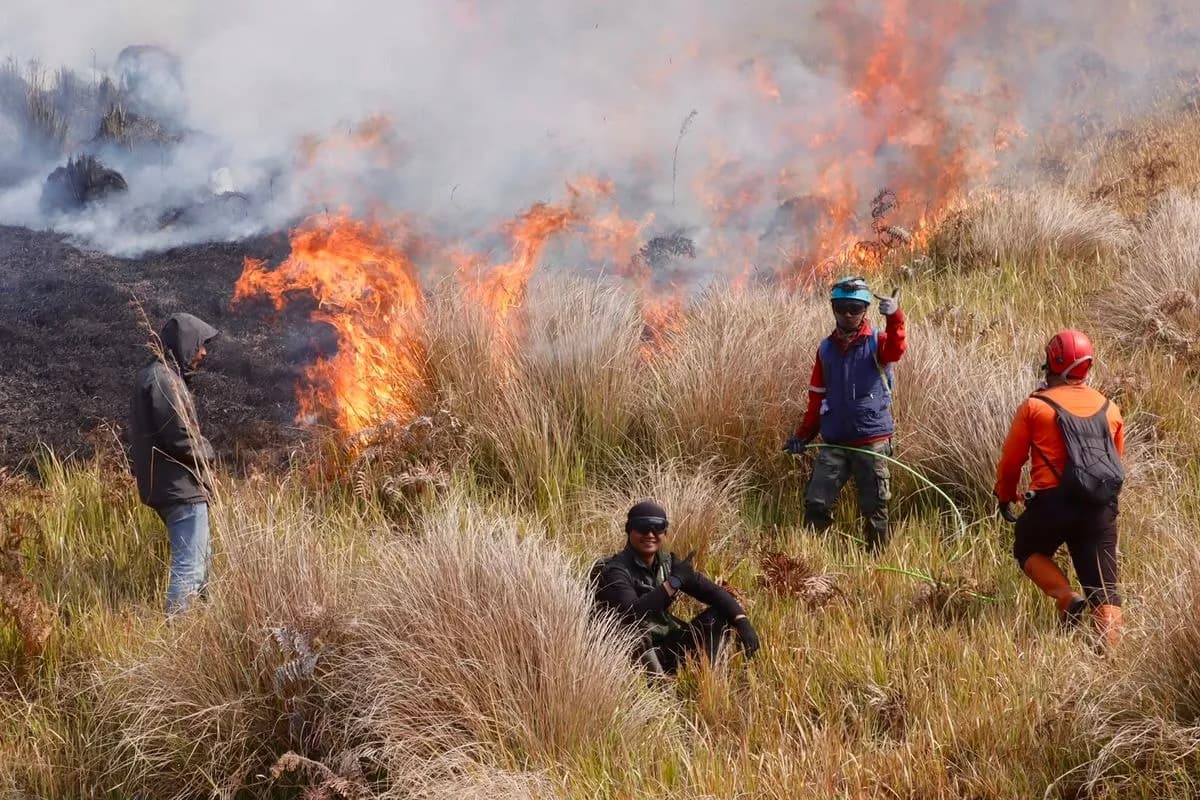 Kebakaran Bromo Meluas, 520 Hektare Hangus, Tiga Helikopter Dikerahkan