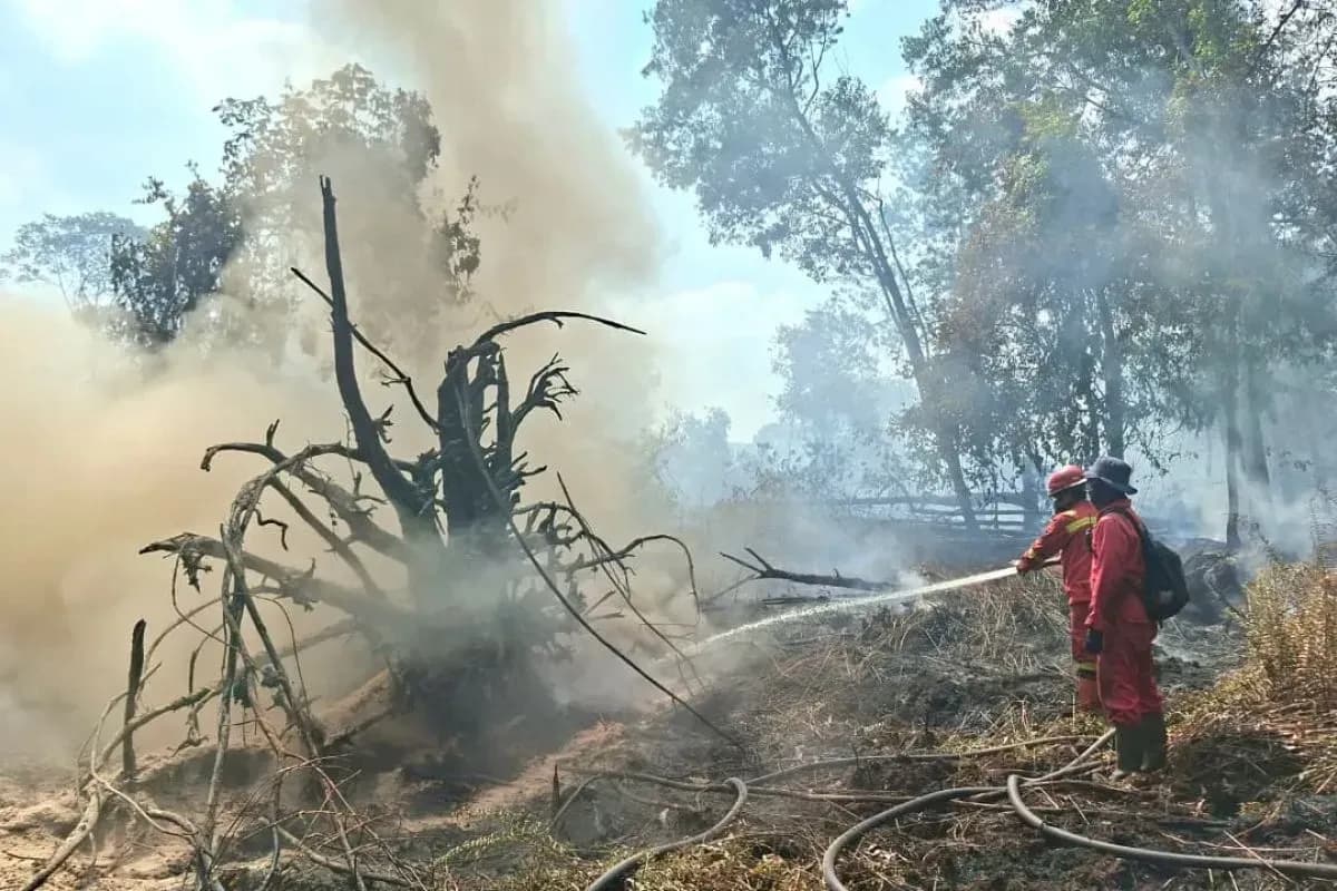 Karhutla Pelalawan Tak Kunjung Padam, 19 Embung Dibangun untuk Jinakkan Api