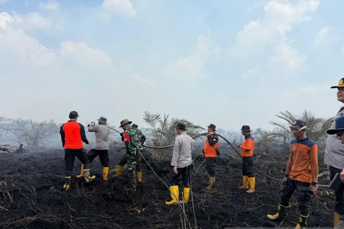 Karhutla 50 Hektare Mengamuk di Muaro Jambi, 300 Personel dan 3 Helikopter Dikerahkan