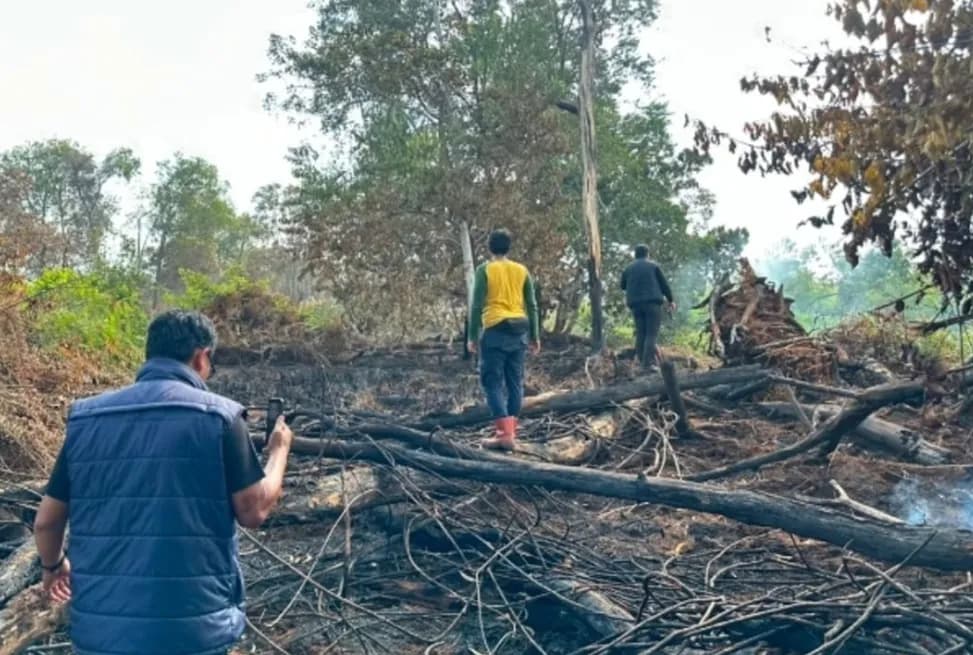 Nekat Bakar 25 Hektare Lahan Gambut untuk Kebun Sawit, Pria di Riau Ditangkap