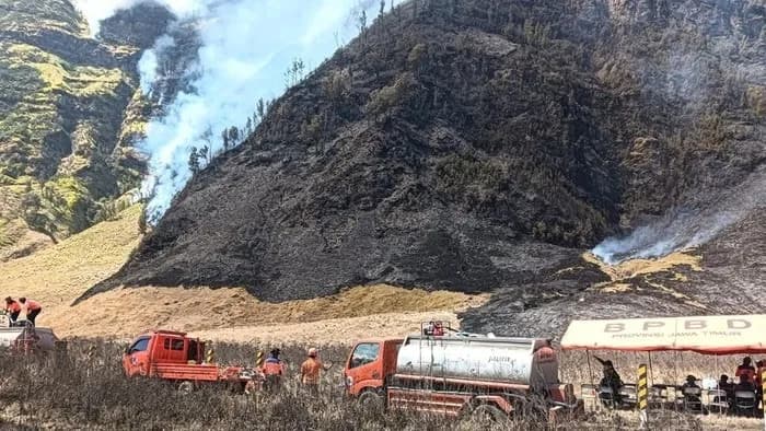 Karhutla Bromo Meluas hingga 889 Hektare, BNPB Kejar Target Padam Total Jumat