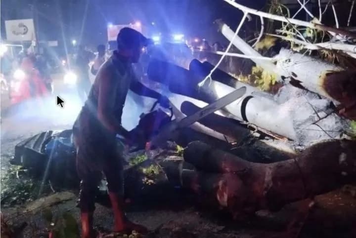 Pohon Tua Tumbang Timpa Mobil di Pidie, 7 Warga Tewas Seketika