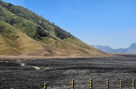 Karhutla Bromo Meluas, Sudah 942 Hektare Lahan TNBTS Hangus Terbakar