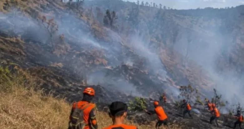 Kebakaran Bromo Mereda, 1.120 Hektare Lahan Terbakar