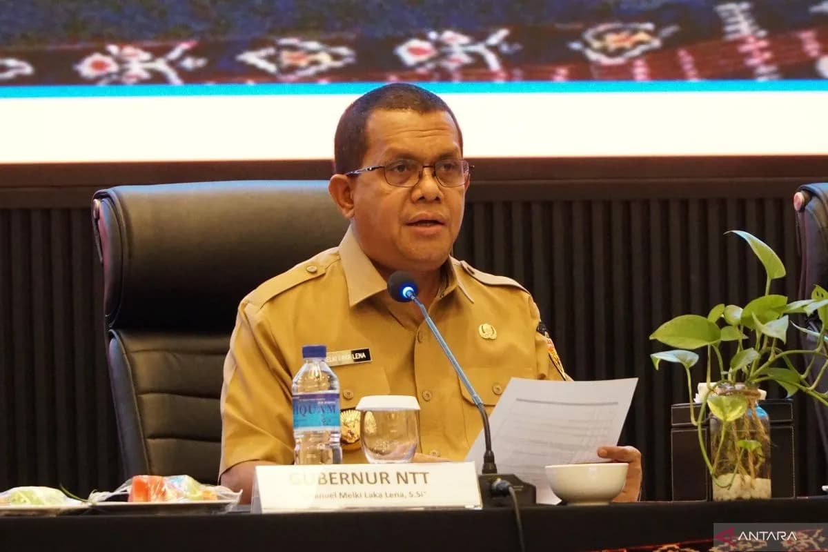 Gubernur NTT: Utara Flores Jadi Wilayah Paling Terdampak Gempa M 7,7