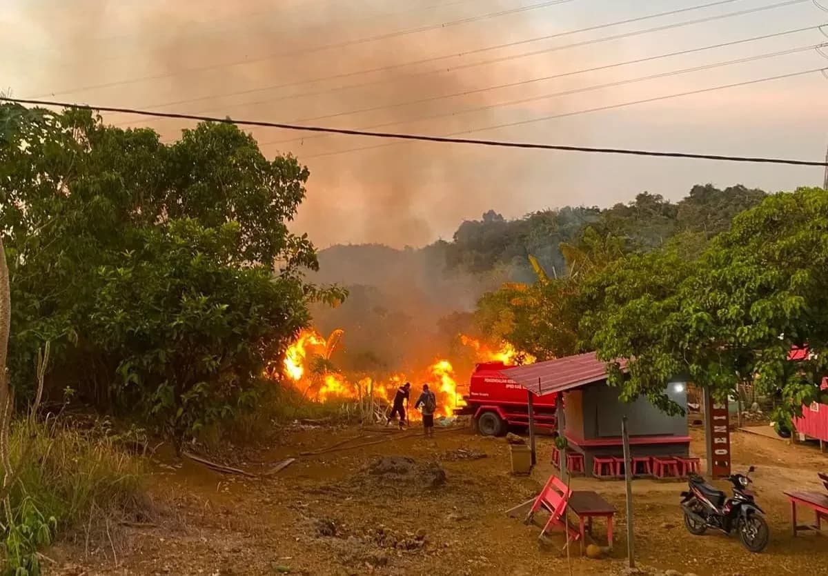 Karhutla Berau Makin Tak Terkendali, 118 Hektare Lahan Ludes dan 200 Titik Api Mengepung