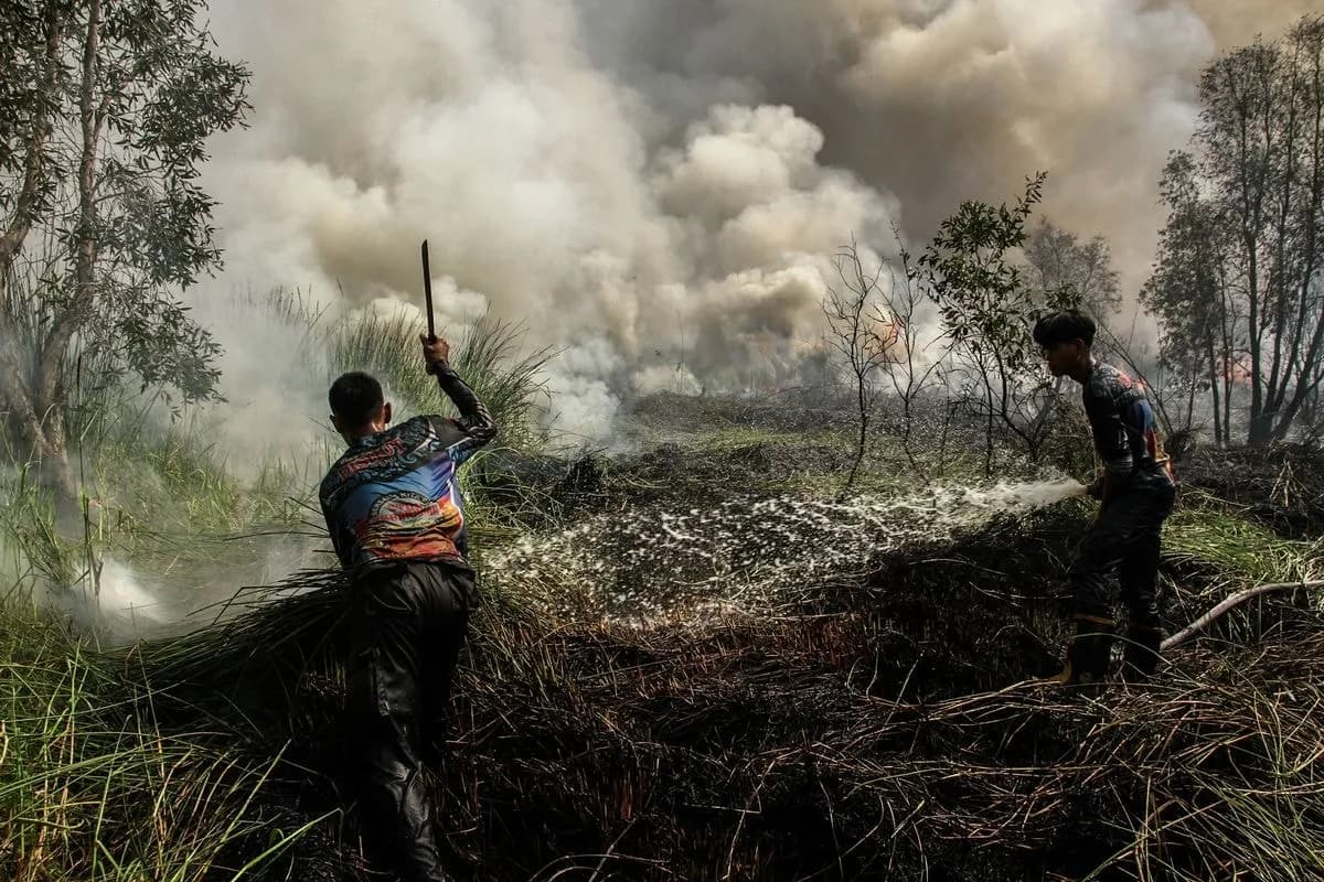 Karhutla Kalteng Meluas, 148 Hektare Terbakar dan 66.679 Warga Terserang ISPA