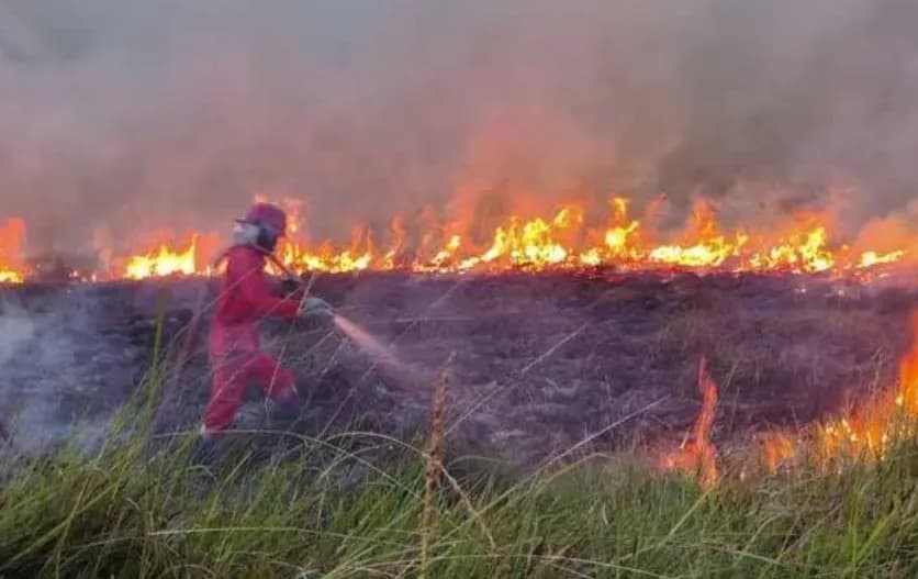 Karhutla Riau Tembus 16.264 Hektare, Gambut Bikin Api Sulit Padam