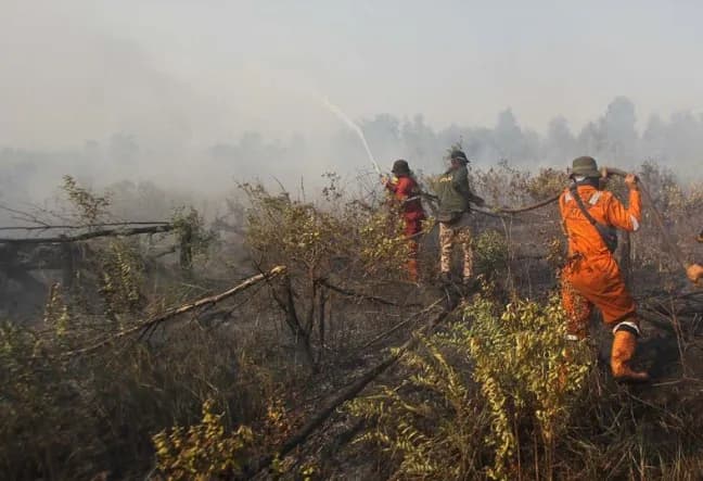 Karhutla di Kalsel Capai 8.900 Hektare, BNPB Perkuat Penanganan