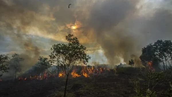 KSAL Turun Langsung ke Lokasi, Bantah Karhutla Kalsel Separah yang Viral