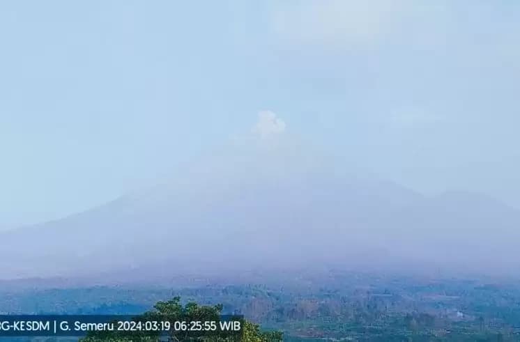 Update Gunung Semeru Erupsi Dengan Letusan 500 Meter