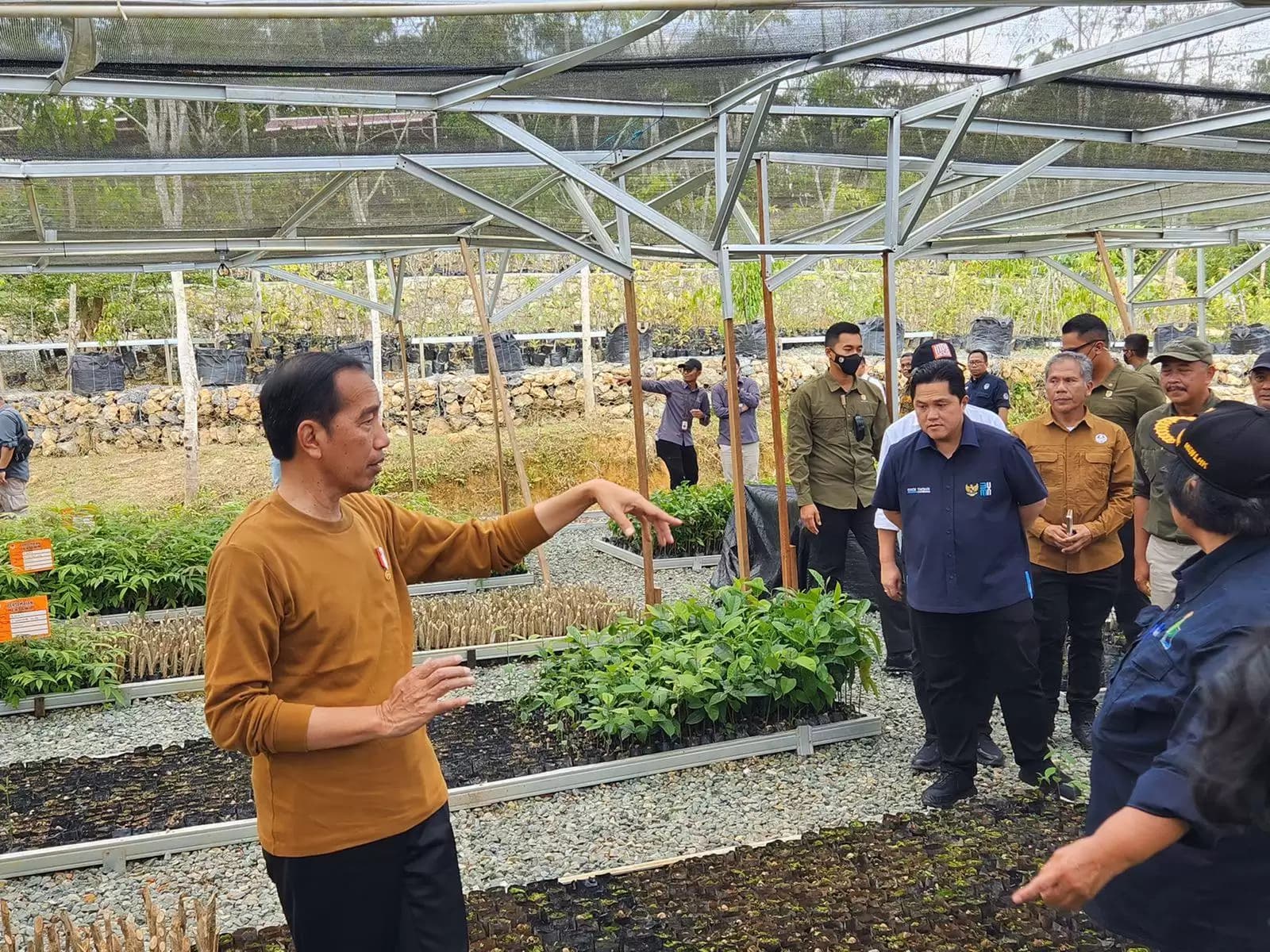 Pertanian IKN Gunakan Sistem Greenhouse