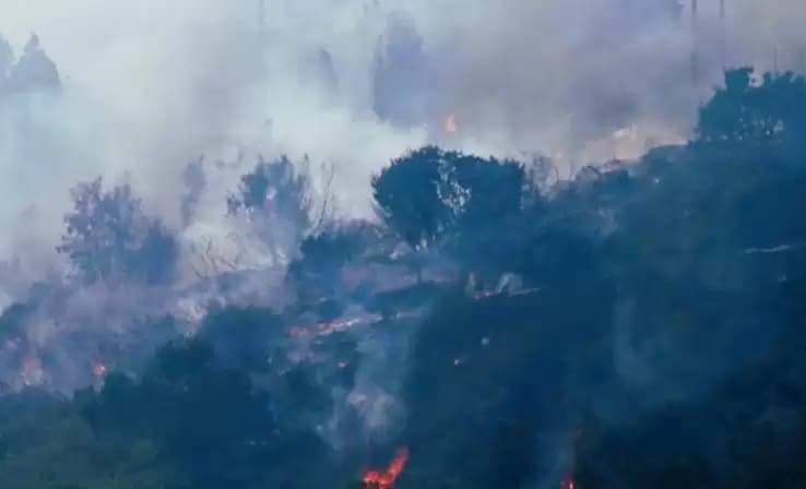 Kebakaran Hutan Hingga 1 Km Landa Taman Nasional di Chiang Mai, Thailand