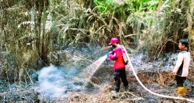 Jumlah Titik Panas di Kaltim Menurun Dari 181 Menjadi 76