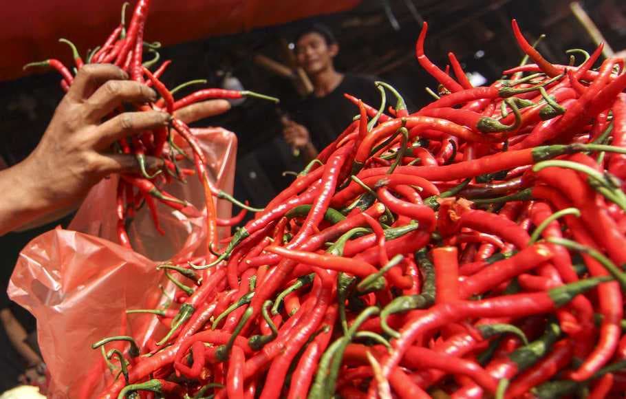 Kamu Anti Cabai? Ternyata ini loh 7 manfaat Cabai untuk Kesehatan