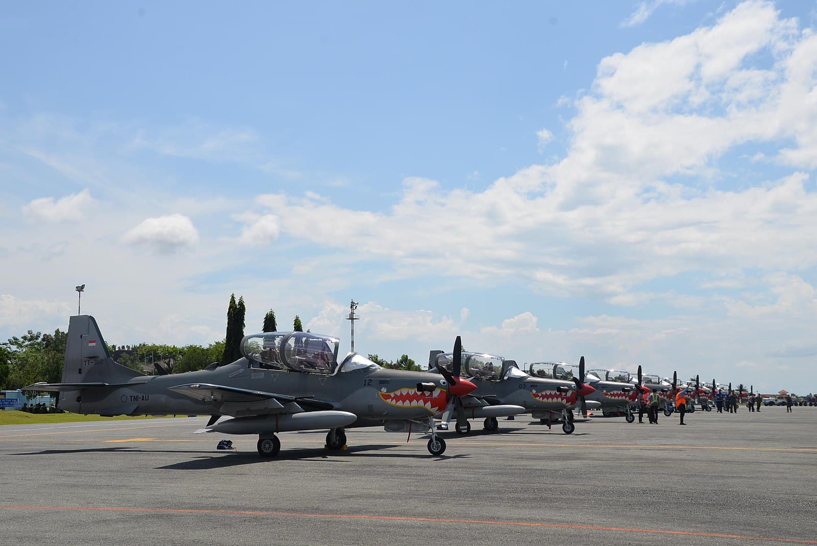 Ternyata Segini Usia 2 Pesawat TNI AU yang Jatuh di Pasuruan