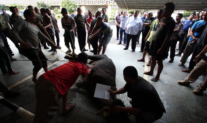 Wujudkan Pemilu Damai, Ketua Bawaslu Imbau Tidak Menjelekan Calon Lain