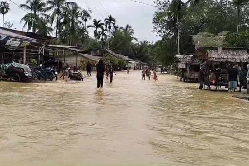 BPBD: Lima kecamatan di Aceh Timur Dilanda Banjir