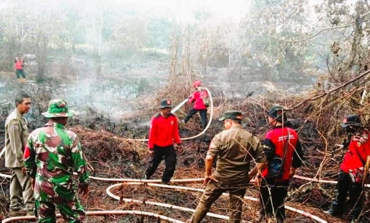 BMKG: Jumlah Titik Panas di Kaltim Terus Mengalami Penurunan