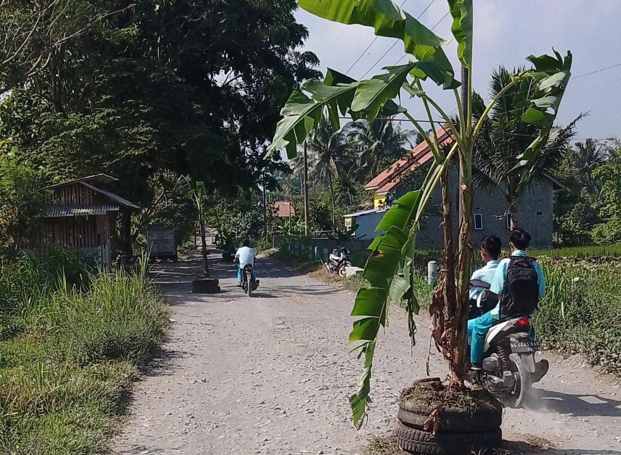 DPUPR Pemkab Blitar Beri Jawaban Terkait Protes Warga Menjangan Kalung Tanam Pohon Pisang