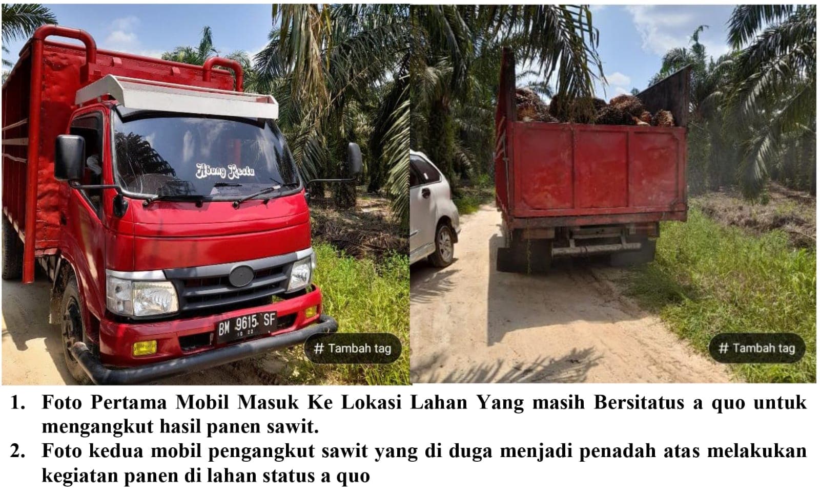Darwin Diduga Bersekongkol dengan Penadah Jual Sawit dari Lahan Status Quo