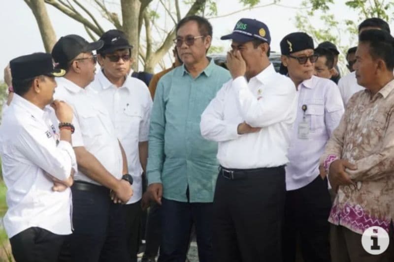 Mentan Blusukan ke Lahan Rawa Kalimantan Selatan