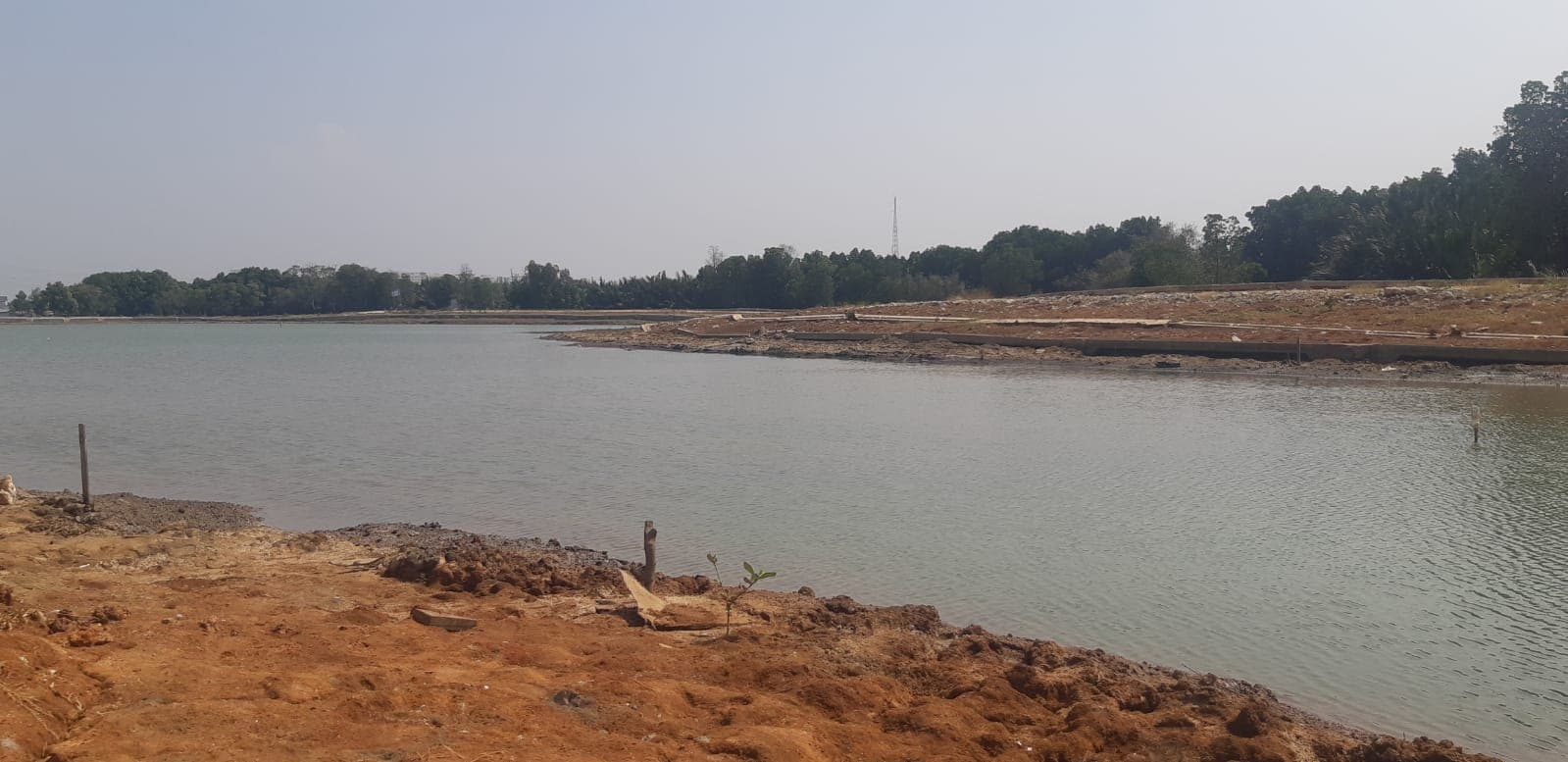 Sebaiknya Dinas SDA DKI Jakarta Belajar ke Kebun Binatang Ragunan Bangun Waduk