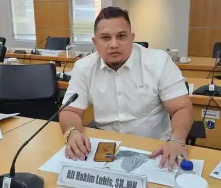 Ali Lubis