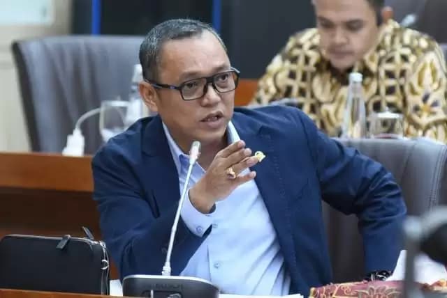 Anggota DPR RI Fraksi PDI Perjuangan, Deddy Sitorus (Foto: Ist)