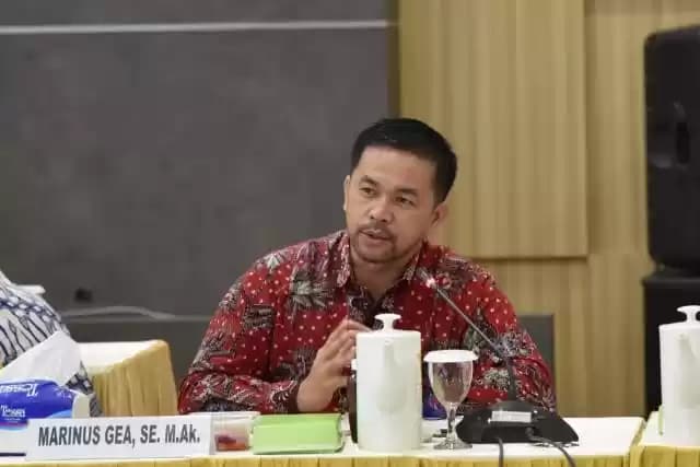 Anggota Komisi XI DPR RI, Marinus Gea (Foto: Ist)
